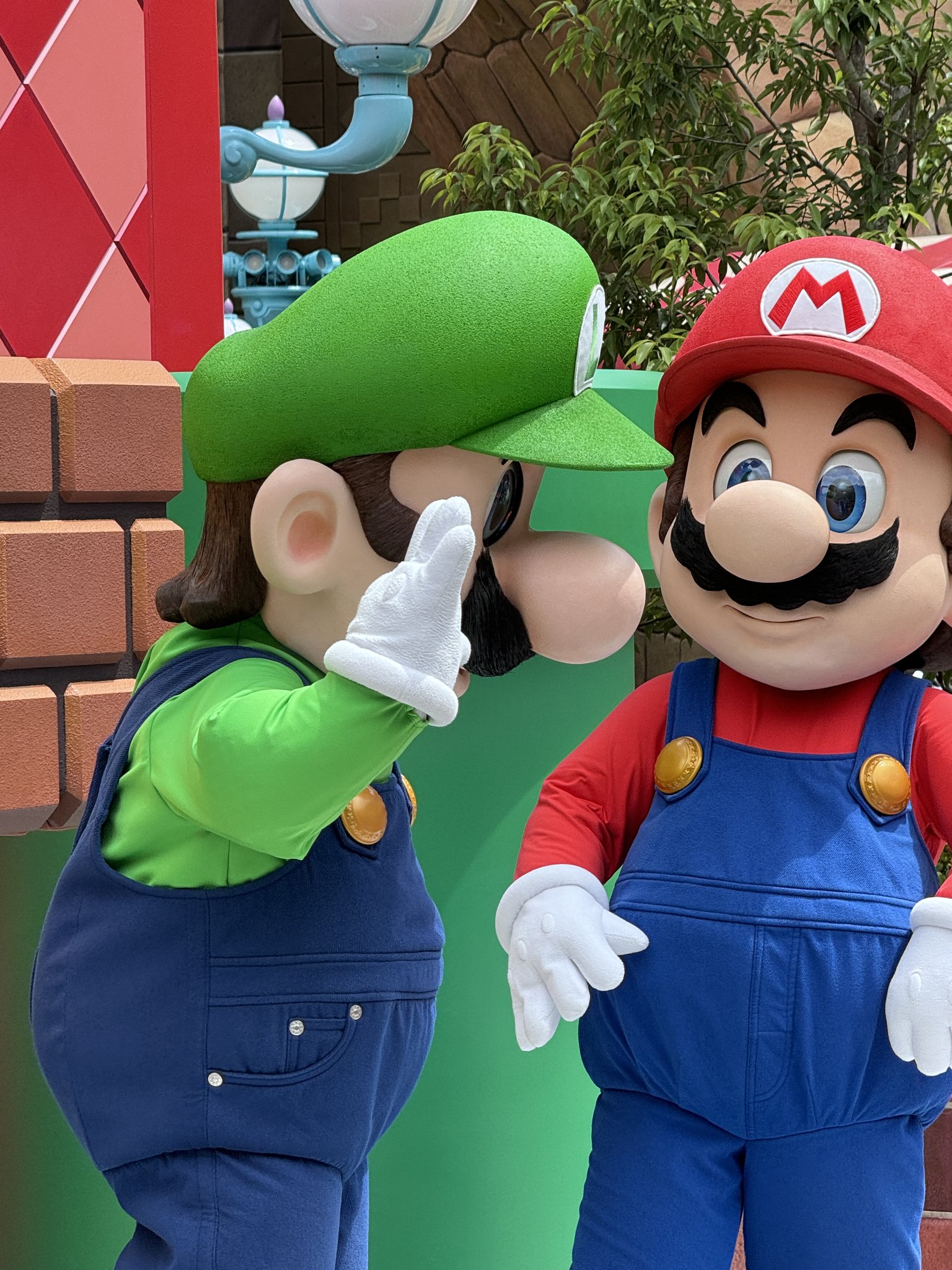 ルイージ・マリオ / マリオ・マリオ